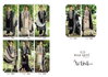 The Artist Vol 3 By Riaz Arts Lawn Karachi Cotton Dress Material Wholesalers In Surat
